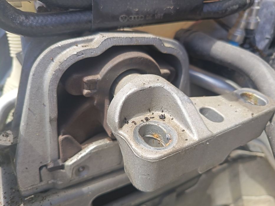 Tampon motor dreapta Seat Altea (5P1) [Fabr 2004-2010]  1.9 TDI BKC 77