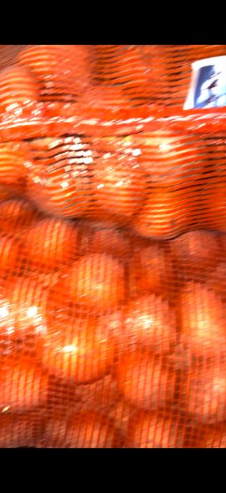 Семеной картофель