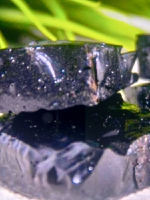 ПРОДАМ МУМИЁ, натуральное,очищенное, АСТАНА