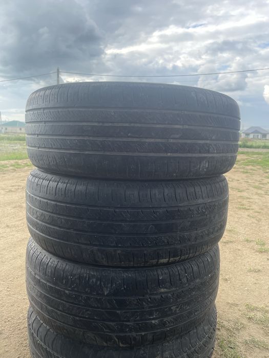 Покрышка сатлат