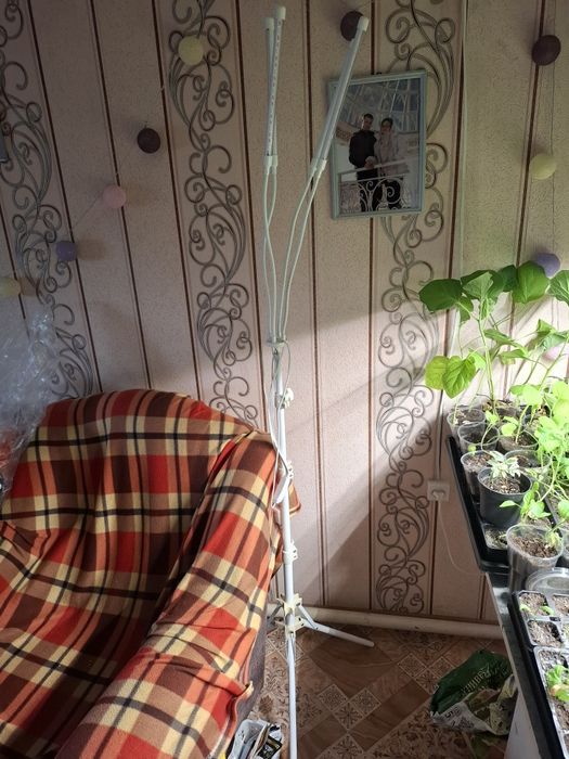 Фитолампа отличная