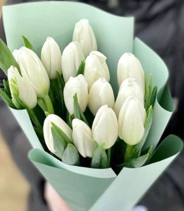 Живые тюльпаны для ваших любимых!