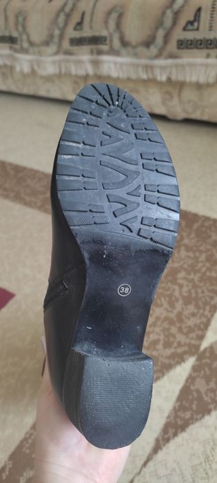 Женская обувь сапоги