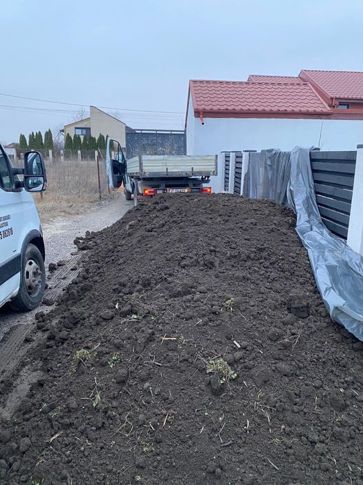 Pamant negru padure vegetal