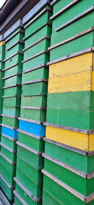 Caturi cu rame de1/2 crescute pentru stupi de 12 rame