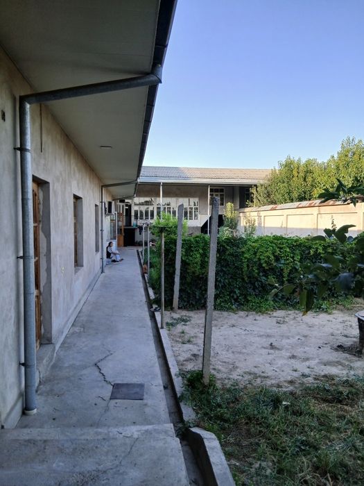 Choshtepada katta xovli sotiladi