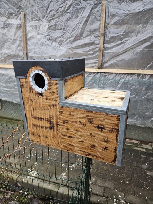 Execut cuiburi papagali