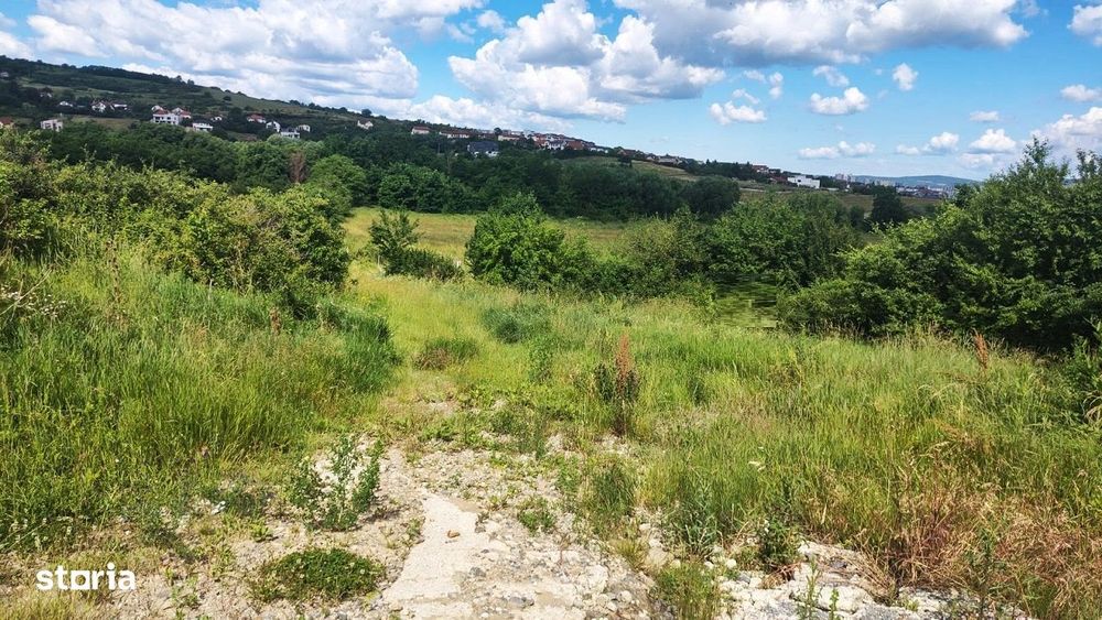 Teren intravilan Fara PUZ in Borhanci, zona de case,  Remenyik Sandor