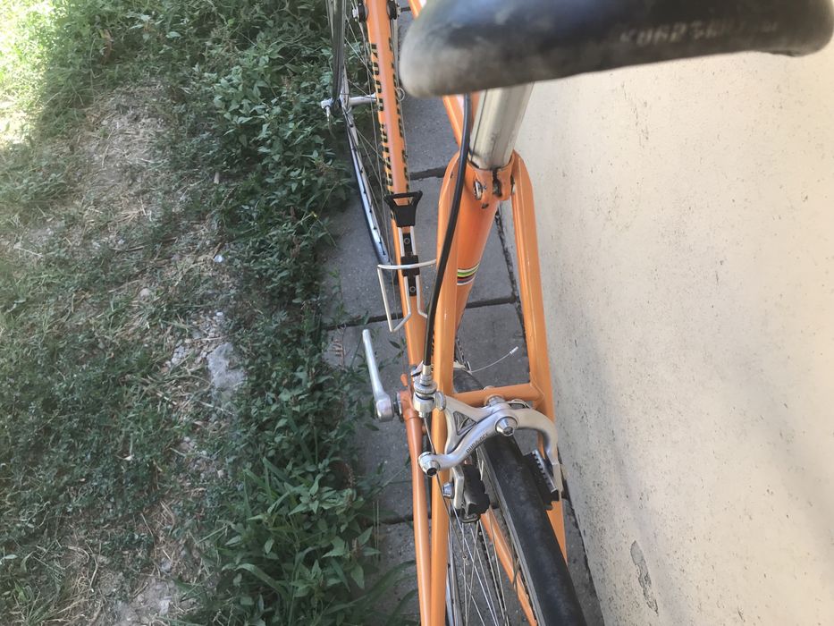 Cursiera Koga Miyata