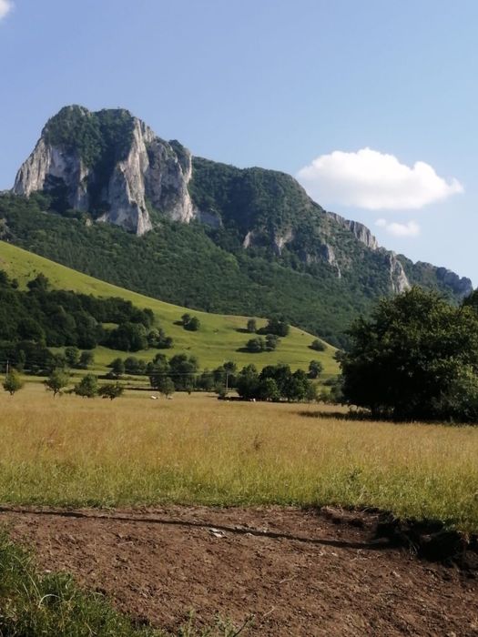 Vand teren in Rimetea