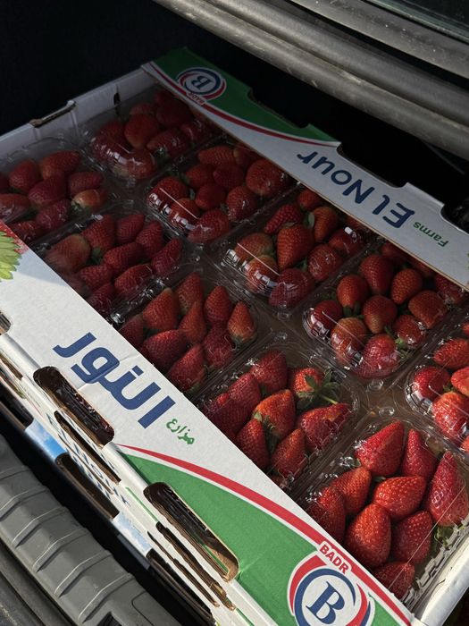 свежый клубника ящик