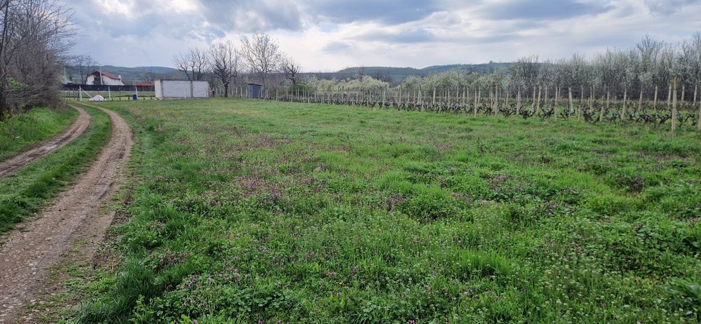 Teren intravilan Zoresti Buzau