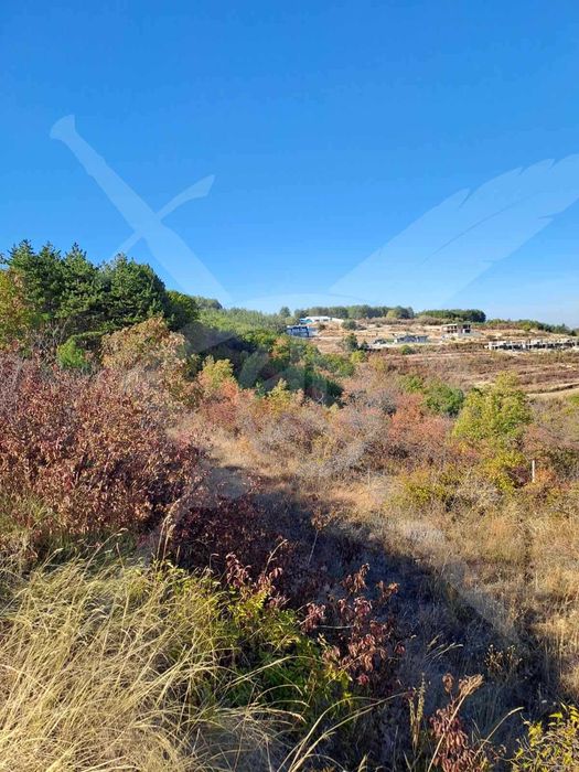 Продава се Земеделски имот в с. Брестовица, Област Пловдив -  кв.м за 5750 €/дка - Снимка #7