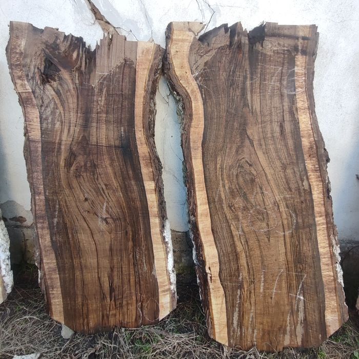 Плотове от вековен орех