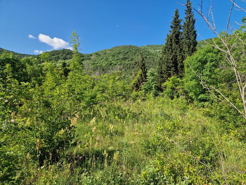 Продава се Земеделски имот в Асеновград -  кв.м за 8 €/дка - Снимка #3