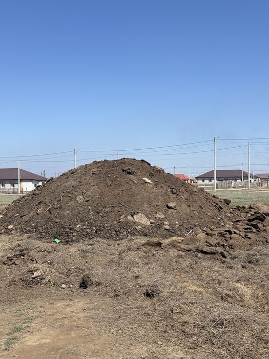 Бесплатный навоз