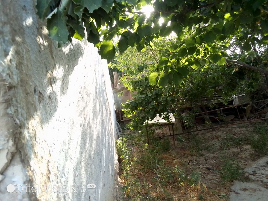 Xovli uy samarqand shaxarda