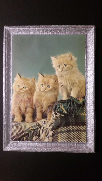 Прекрасни 2 пуделчета в сребърна рамка. Изглеждат супер!