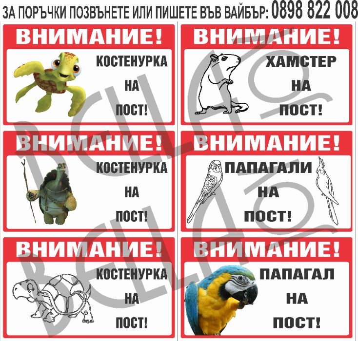 Табела за куче, котка, костенурка, папагал, стикери, забавни табели