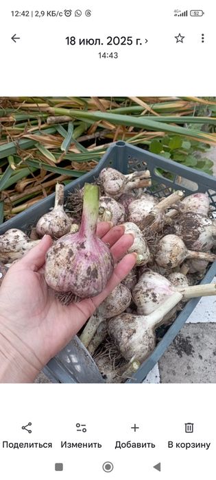 Продам ухоженную  дачу