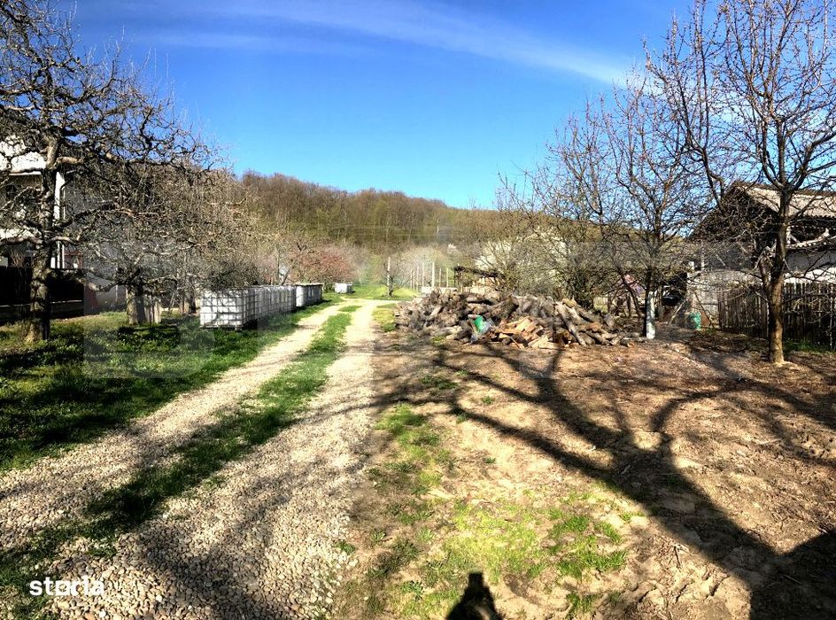 Teren mixt -construibil (intravilan) + livada matura (Extravilan) –