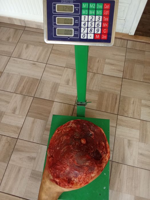 Vând șonc de casă uscat și afumat