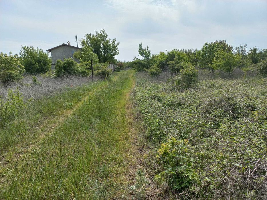 Продава се Парцел в с. Топола, Област Добрич - 559 кв.м за 22 €/кв.м - Снимка #1