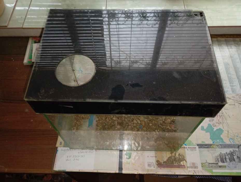 Аквариум не большой