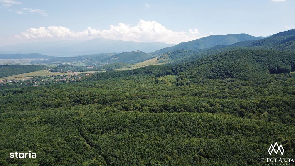 Livadă de Nuci, 11 Hectare comasate, Cisnădie, Jud. Sibiu