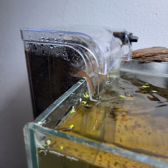 acvariu complet echipat