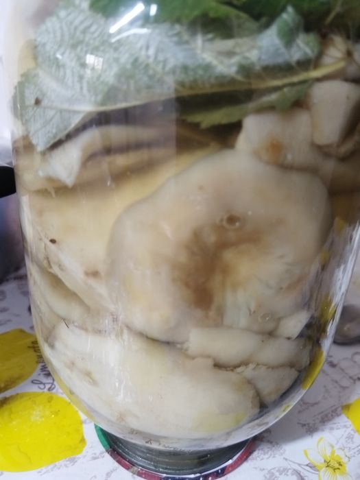Маринованные грибы