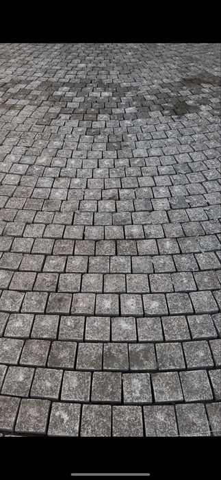 Bruchatka Koksaroy kolitiy