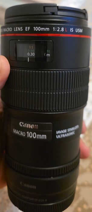Canon EF 100mm Obiectiv Foto DSLR F2.8L Macro IS USM