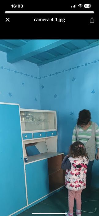 casa de vanzare cu teren la tara sat Hodisel