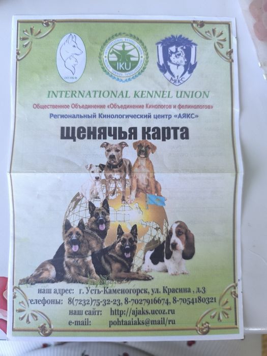 Королевский лаблодор
