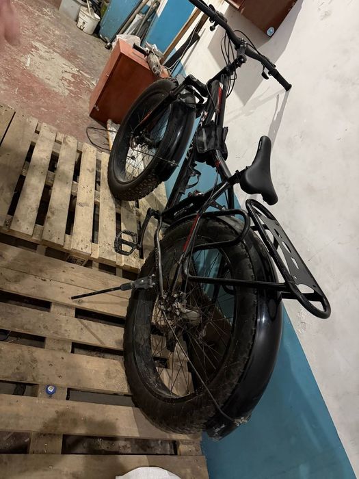 Velosapet xolati zur pashti yangidey
