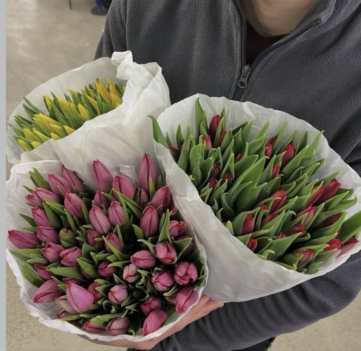 Срочная распродажа тюльпанов