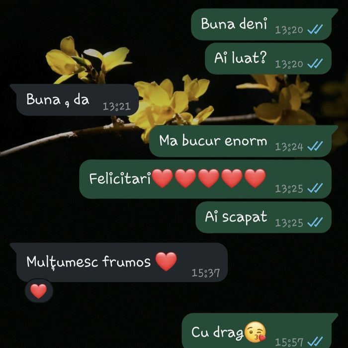 Meditati bac geografie