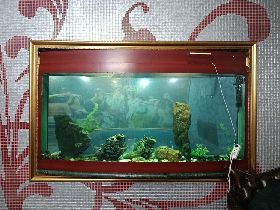 Обслужuвание акварuумов