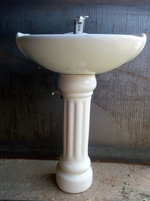 Раковина тюльпан