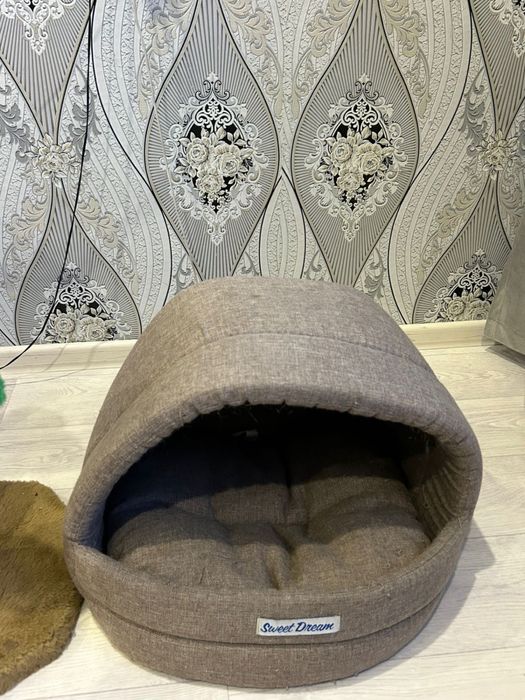 Когтеточка  дом с пальмой