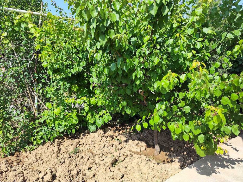 Продаётся дача в Майском, СВТ "Звёздочка"