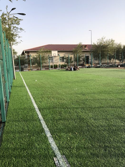 Искуственный газон