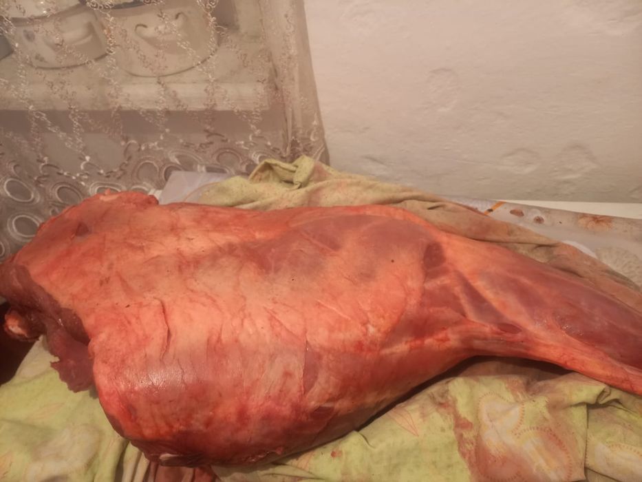 Тайдың сан еті сатылады