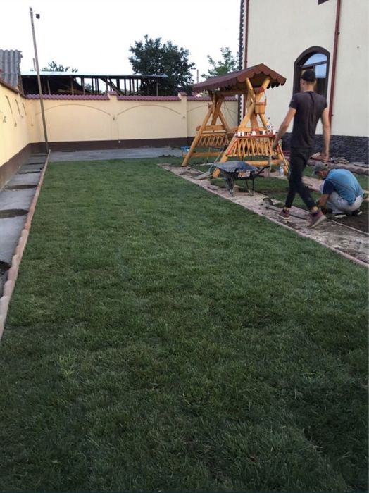 Gazon Rulou Sport Amenajarii Spatii verzi