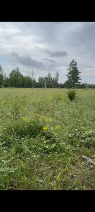 Продам пионерский лагерь