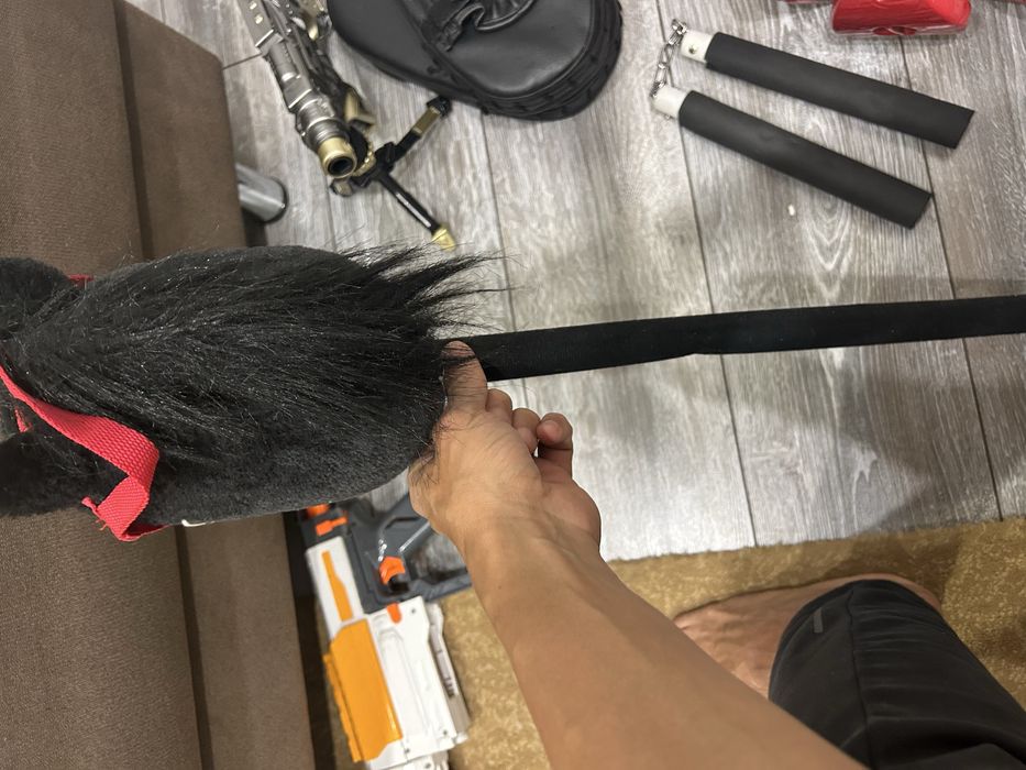 Лошадь для хобби хорсинга