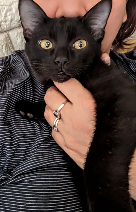 Бэтмен ищет дом  ,где он будет в безопасности и будет любим