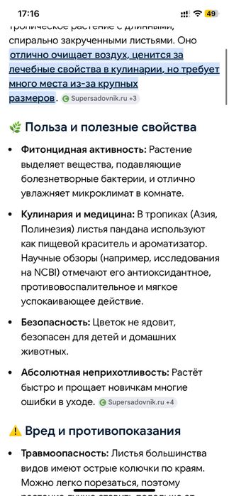 Продам цветок - ПАНДАНУС для дома или офиса