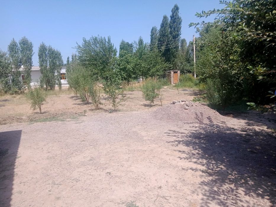 Srochna Toshkent viloyati O'rta Chirchiq tumani Angor q.f.y Yuqori ovu